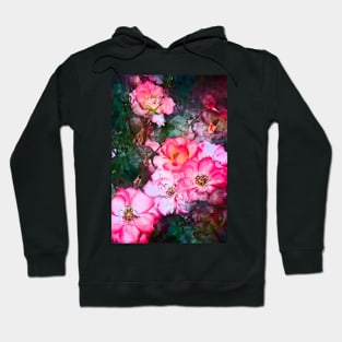 Rose 239 Hoodie